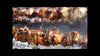 Large Fire Brick Charcoal BBQ & Rotisserie with Stone