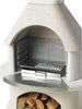 Fire Grate/Ash Pan